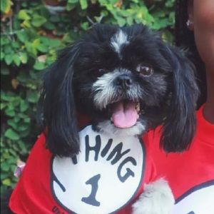 Meet your Posher, Jasmine